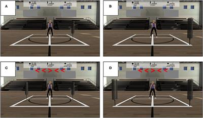 A Novel Approach to Assessment of Perceptual-Motor Efficiency and Training-Induced Improvement in the Performance Capabilities of Elite Athletes